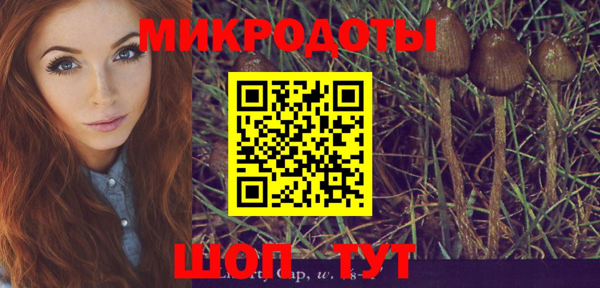 Псилоцибиновые грибы Magic Shrooms  где найти наркотики  Вход с VPN  Людиново  Галлюциногенные грибы MAGIC MUSHROOMS 
